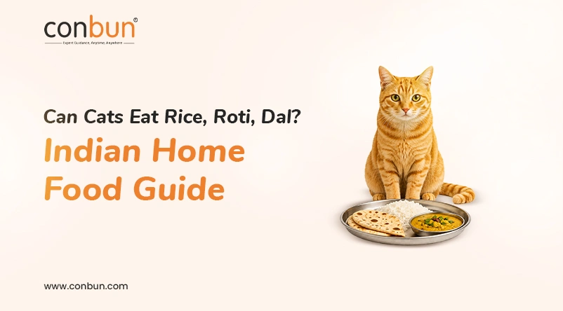 Can Cats Eat Rice, Roti, Dal? Indian Home Food Guide